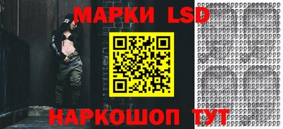 дмт Краснодар