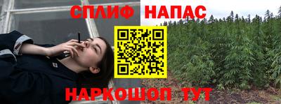 дмт Краснодар