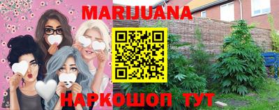 дмт Краснодар