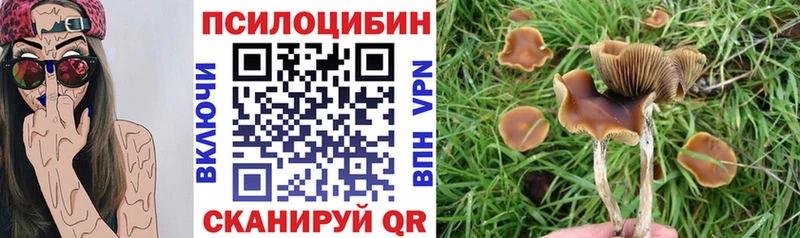 blacksprut вход Еманжелинск Псилоцибиновые грибы ЛСД продажа наркотиков